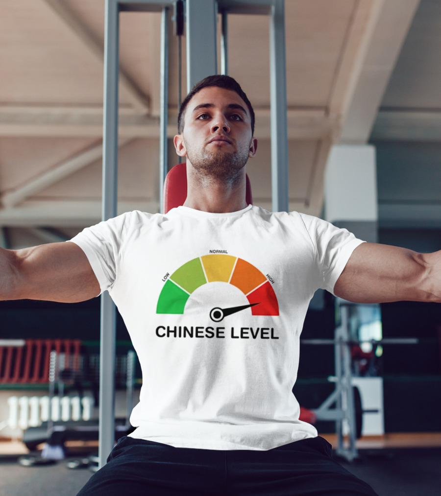 Chinese Level Meter Low Normal High Gauge T-Shirt