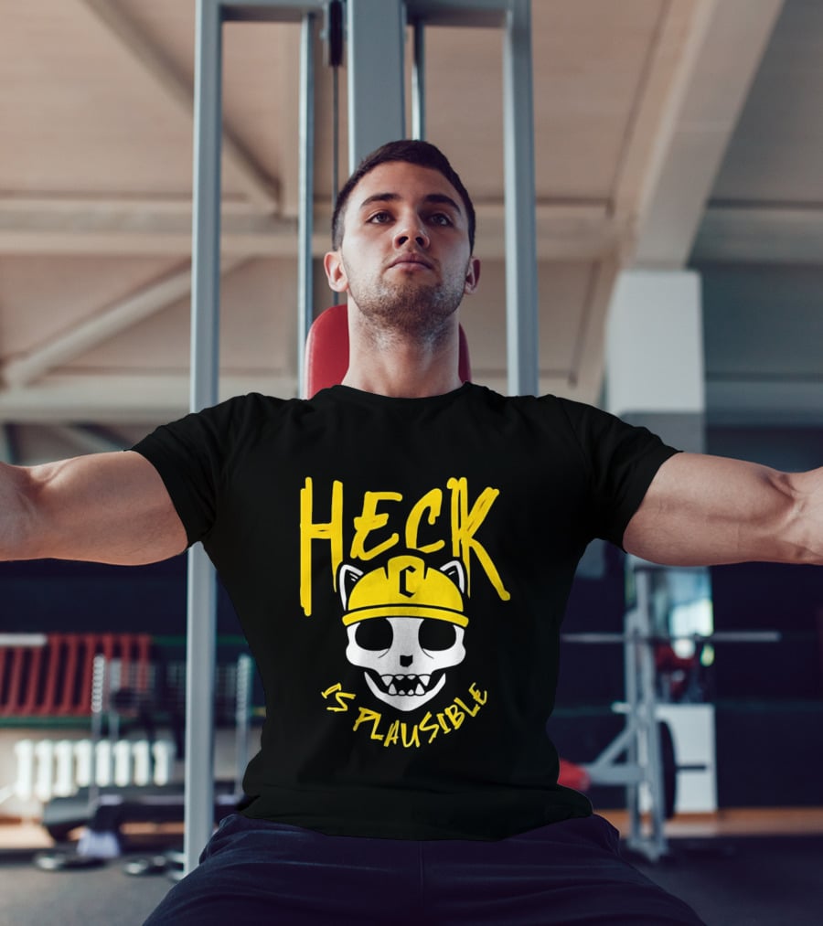 Heck Is Plausible Cat Skull Construction Helmet T-Shirt