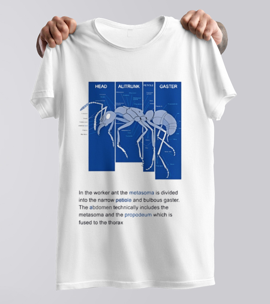 Worker Ant Diagram Head Alitrunk Gaster Metasoma Petiole Biology T-Shirt