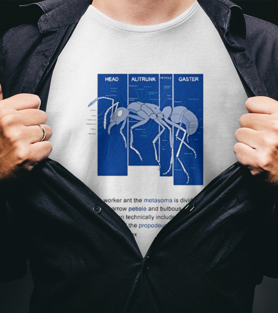Worker Ant Diagram Head Alitrunk Gaster Metasoma Petiole Biology T-Shirt