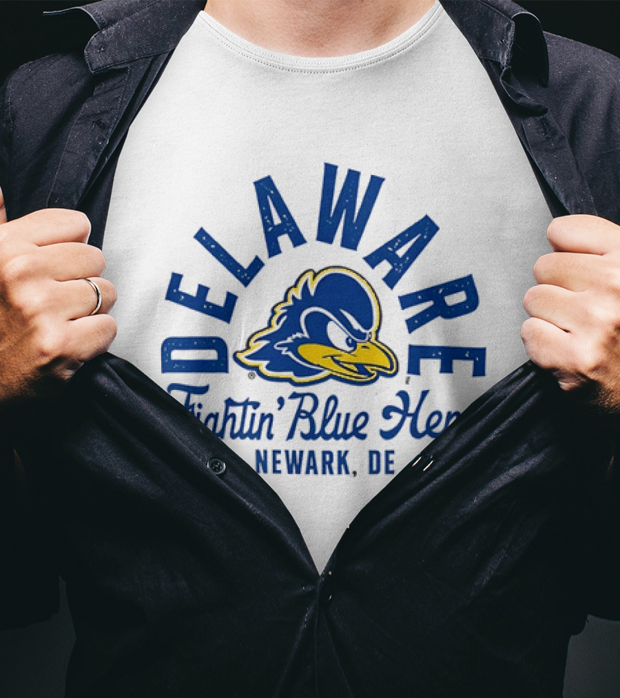 Delaware Fightin' Blue Hens Newark DE NCAA Blue Hen T-Shirt