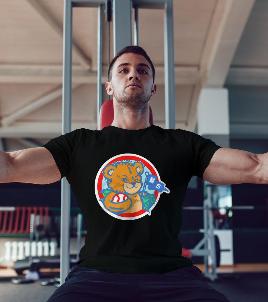 Teddy Bear Holding Baseball NS Pennant Circle T-Shirt