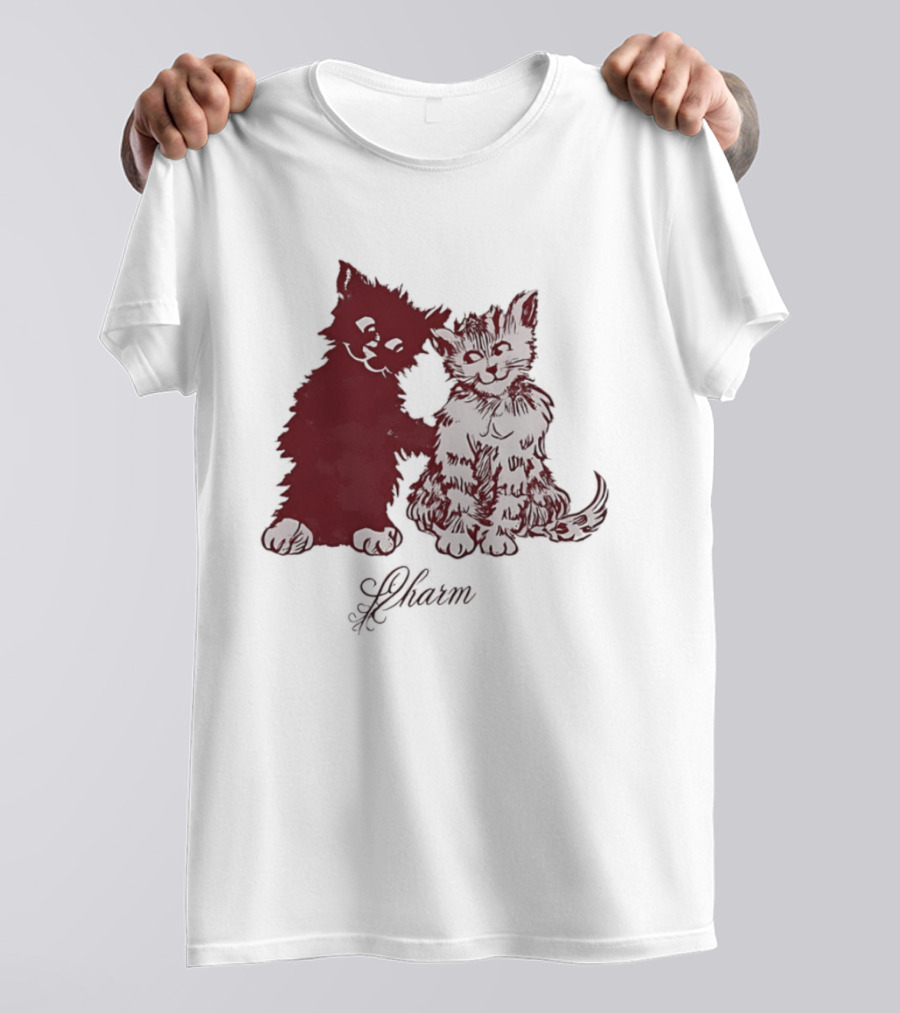 Charm Kittens Cats Hugging T-Shirt