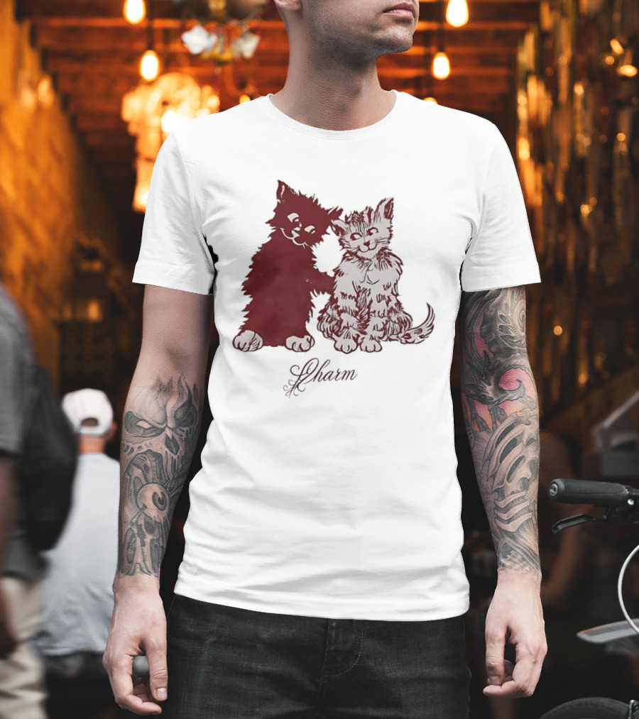 Charm Kittens Cats Hugging T-Shirt