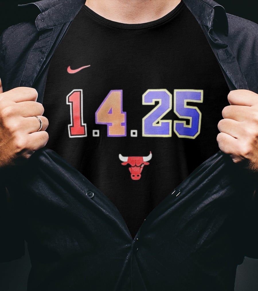 Chicago Bulls Nike 1 4 25 T-Shirt