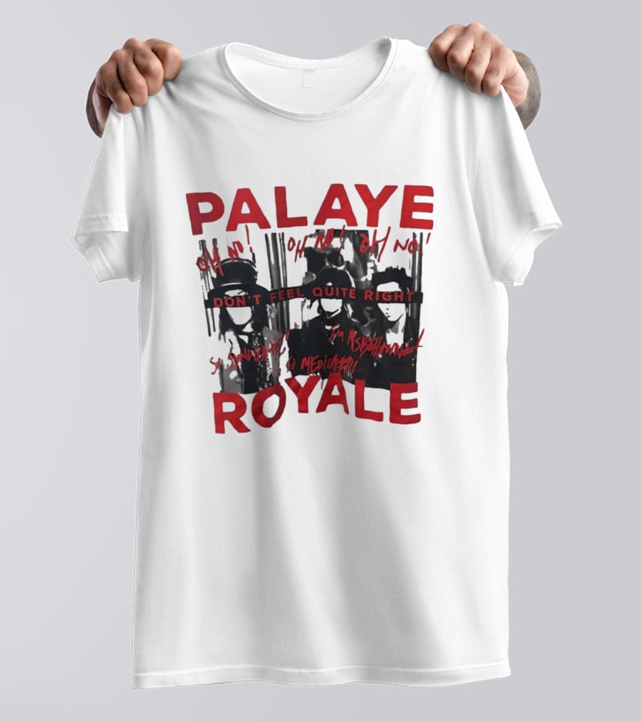 Palaye Royale Don't Feel Quite Right Oh No So Unsatisfied Misunderstood Mediocre T-Shirt