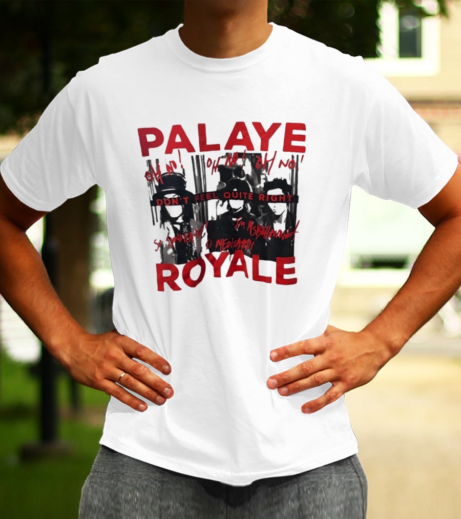Palaye Royale Don't Feel Quite Right Oh No So Unsatisfied Misunderstood Mediocre T-Shirt