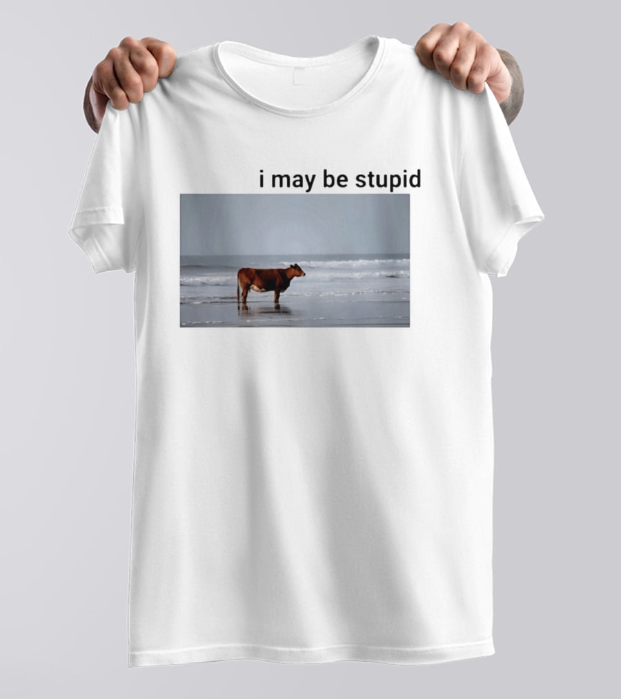 I May Be Stupid Cow At The Beach T-Shirt