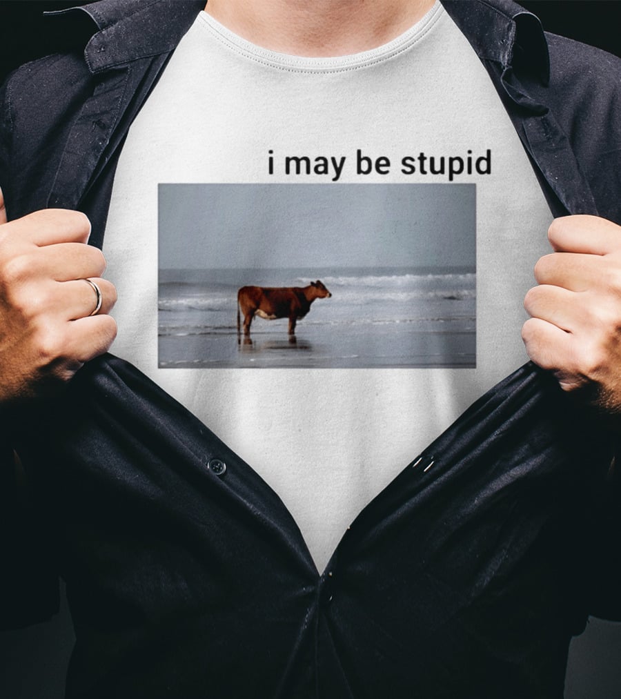 I May Be Stupid Cow At The Beach T-Shirt