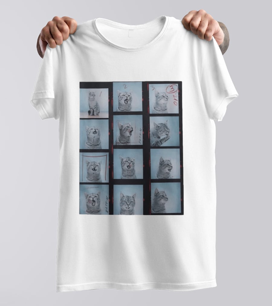 Tabby Cat Film Strip Series With Numbered Frames And Annotations T-Shirt