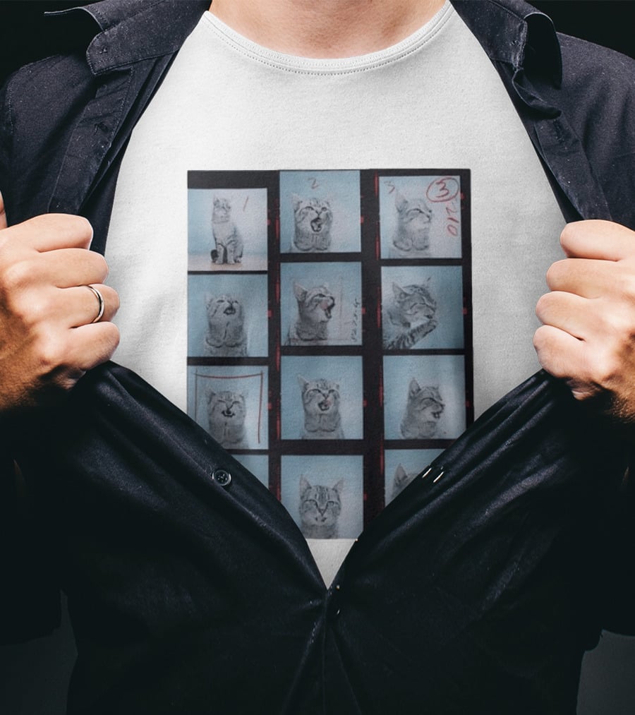 Tabby Cat Film Strip Series With Numbered Frames And Annotations T-Shirt