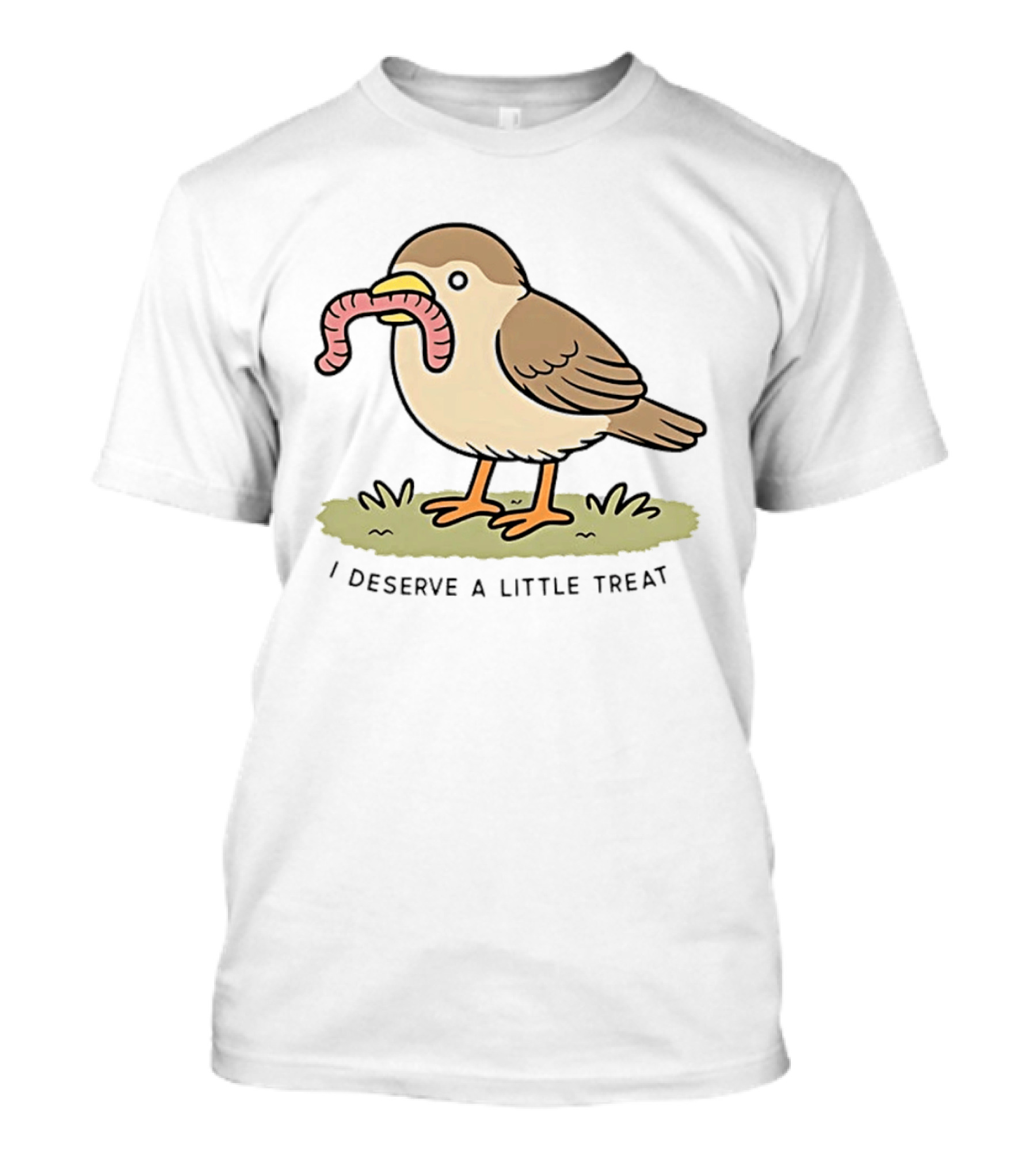 Classic I Deserve A Little Treat Bird Worm Fun T-Shirt