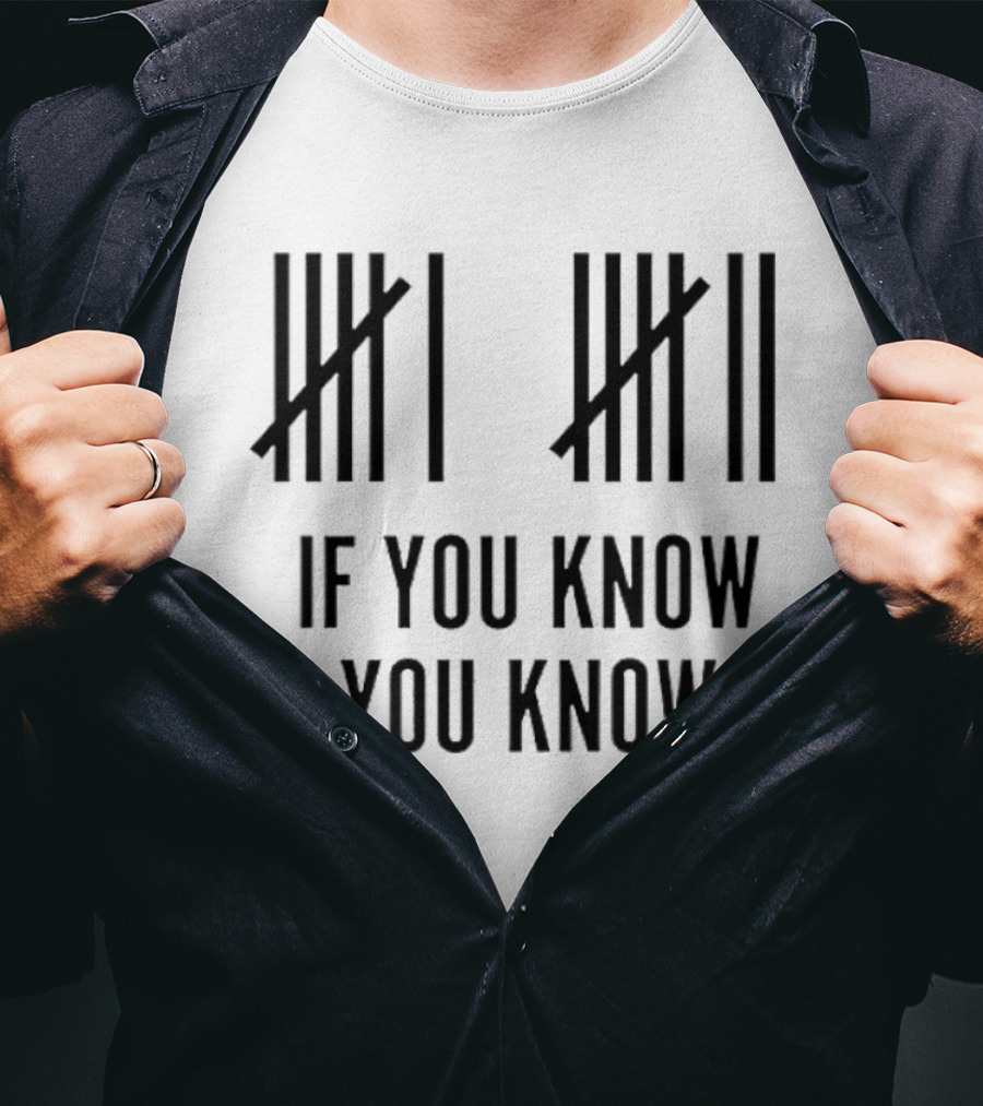Classic Six Seven Tally Marks If You Know You Know T-Shirt