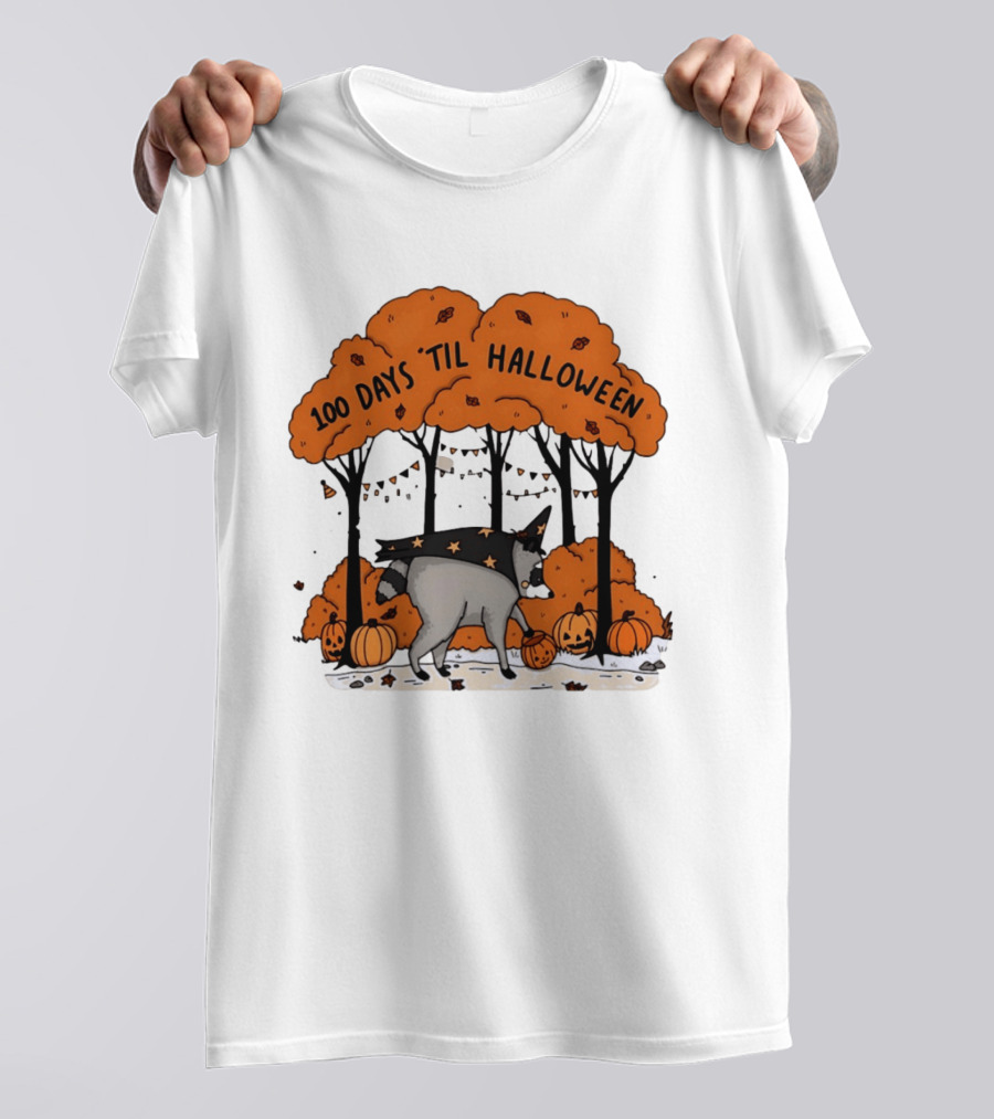 100 Days 'til Halloween Raccoon Wizard Costume In Pumpkin Patch Forest T-Shirt