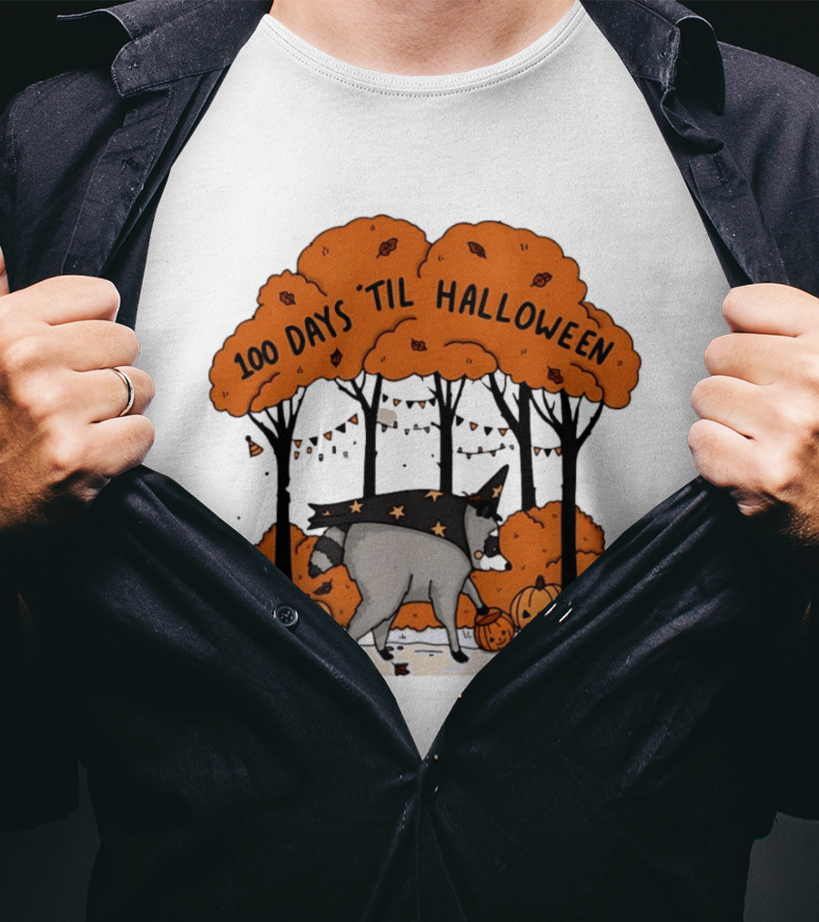 100 Days 'til Halloween Raccoon Wizard Costume In Pumpkin Patch Forest T-Shirt