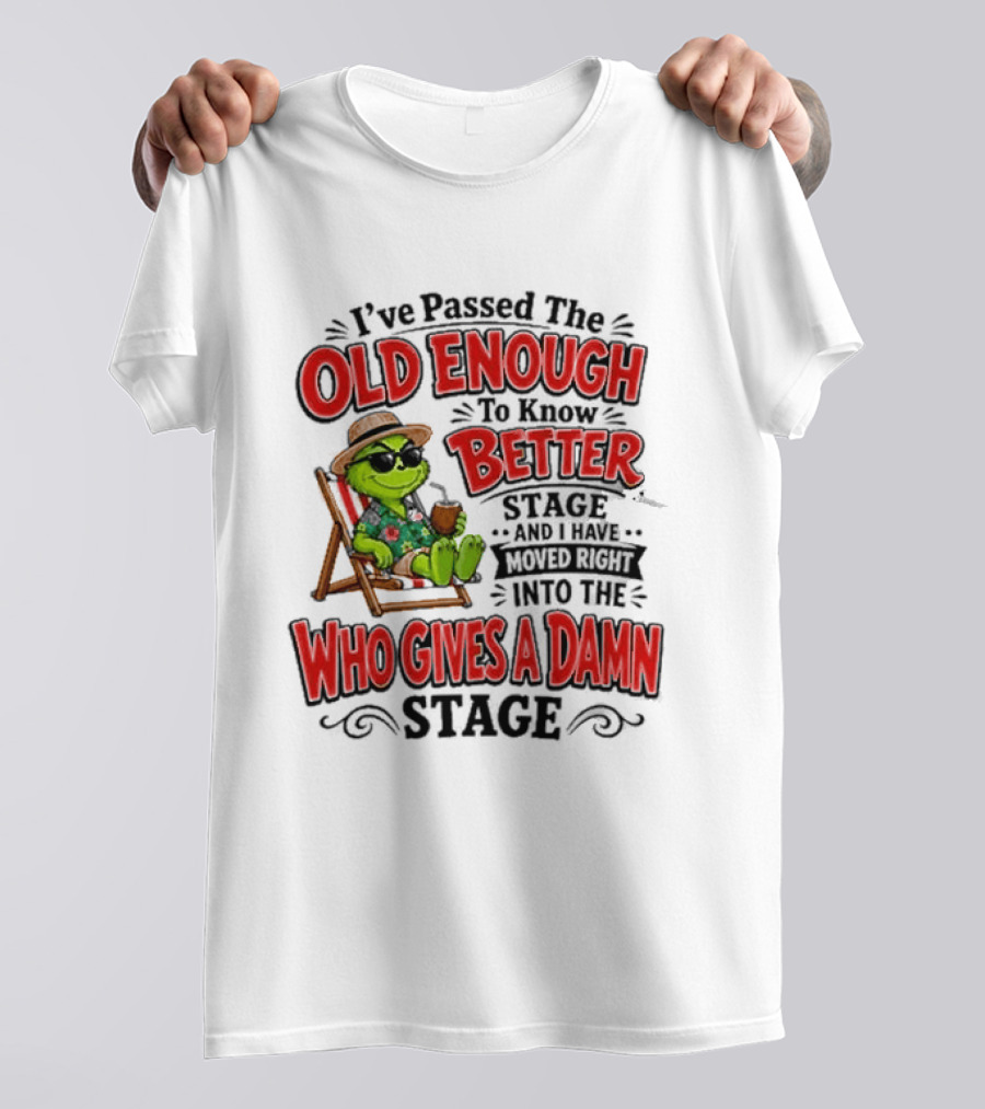 I've Passed Into The Grinch Old Enough To Know Better Who Gives A Damn Stage T-Shirt