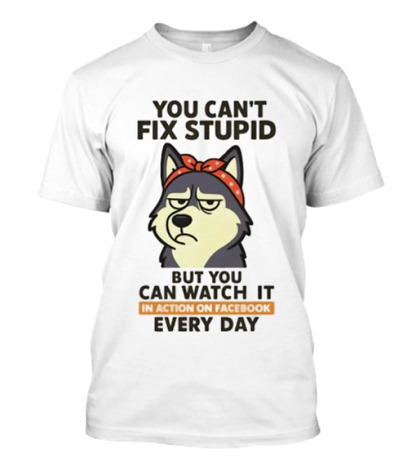 You Can't Fix Stupid But You Can It Every Day Husky T-Shirt