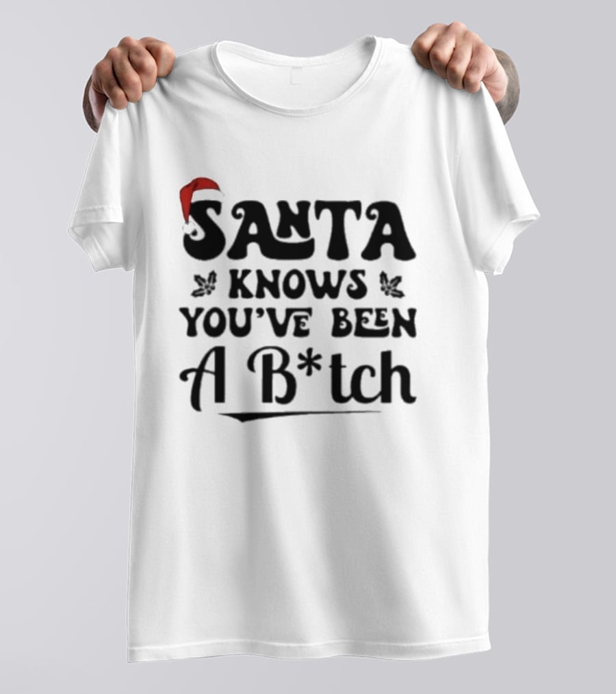 Santa Knows You've Been A B*tch Red Hat Holiday Humor T-Shirt