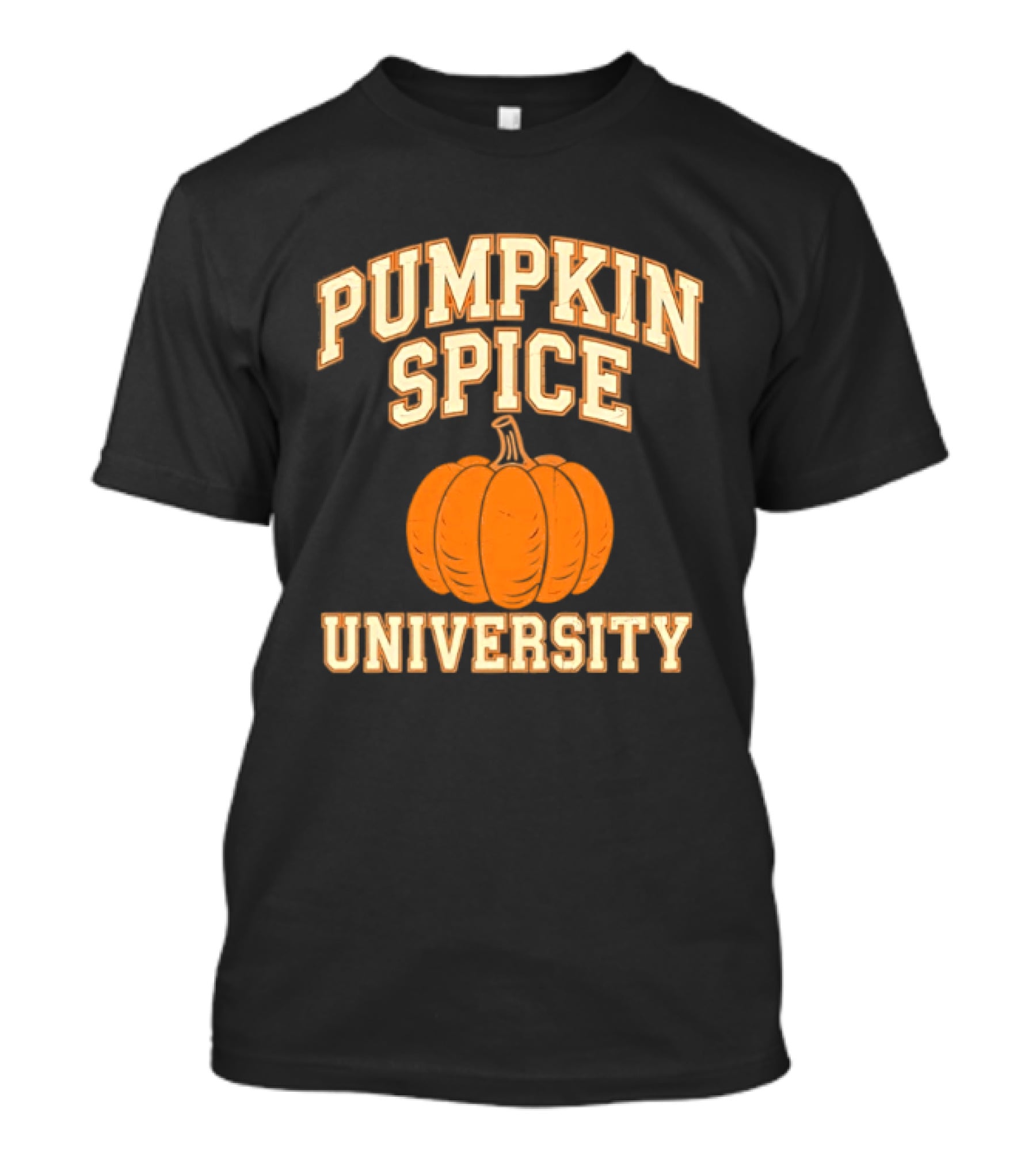 Pumpkin Spice University Distressed Fall T-Shirt