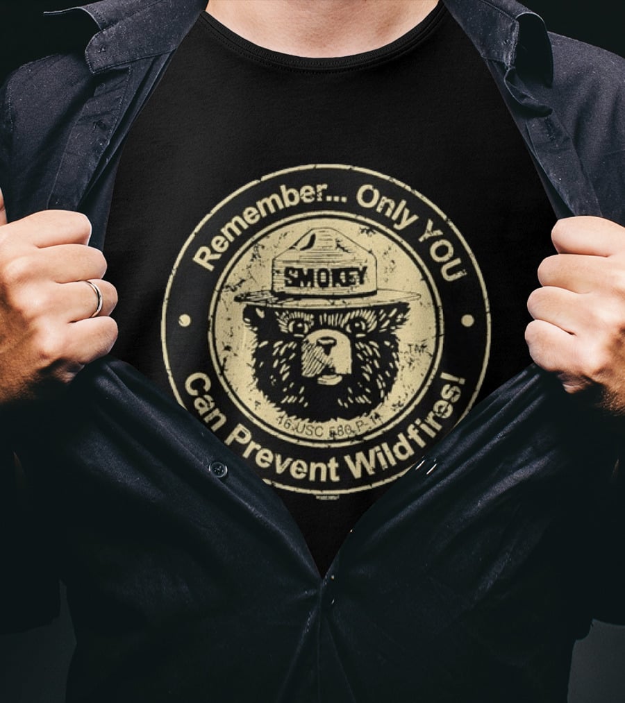 Remember Only You Can Prevent Wildfires Distressed Smokey Bear 16 USC 580p 11 T-Shirt