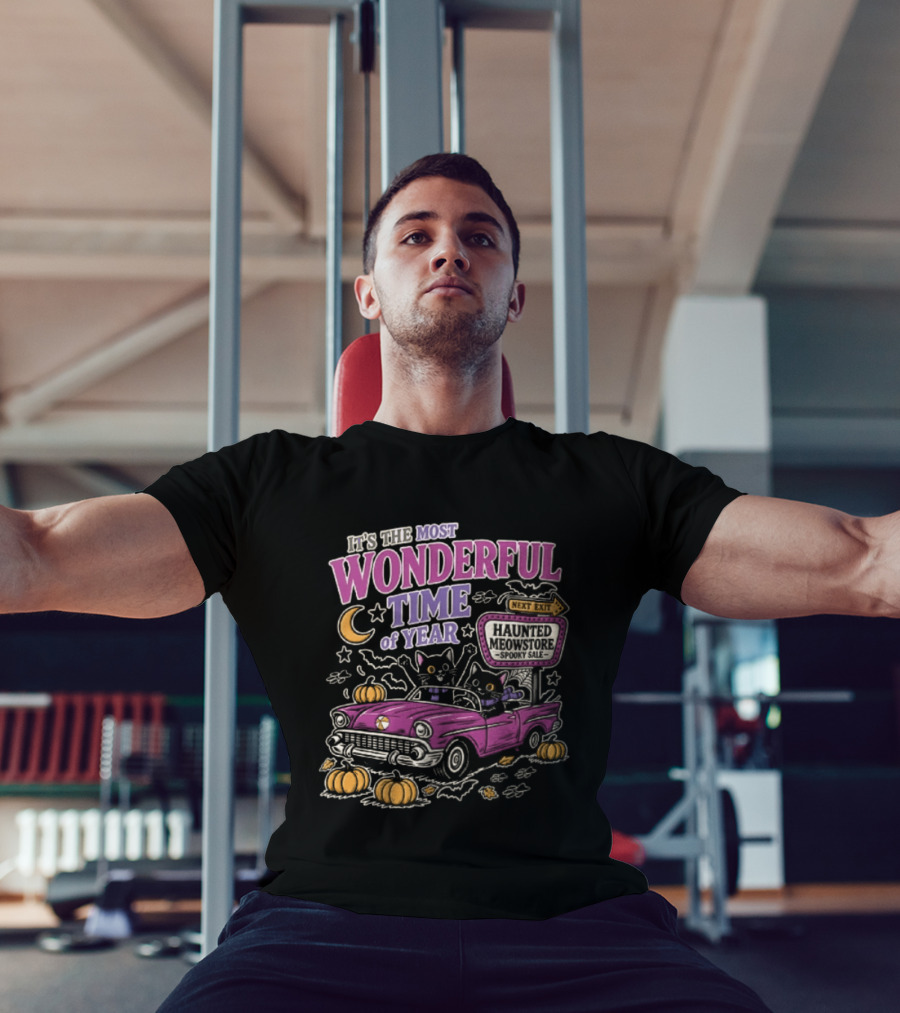 The Most Wonderful Time Of Year Halloween Cat And Pumpkins Retro Car T-Shirt