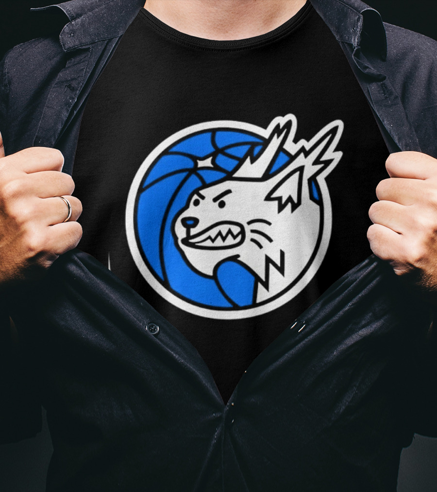 Minnesota Lynx Basketball WNBA Team T-Shirt