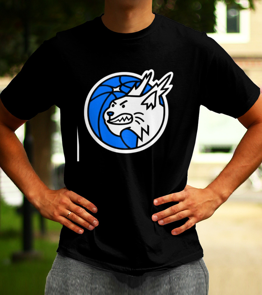 Minnesota Lynx Basketball WNBA Team T-Shirt