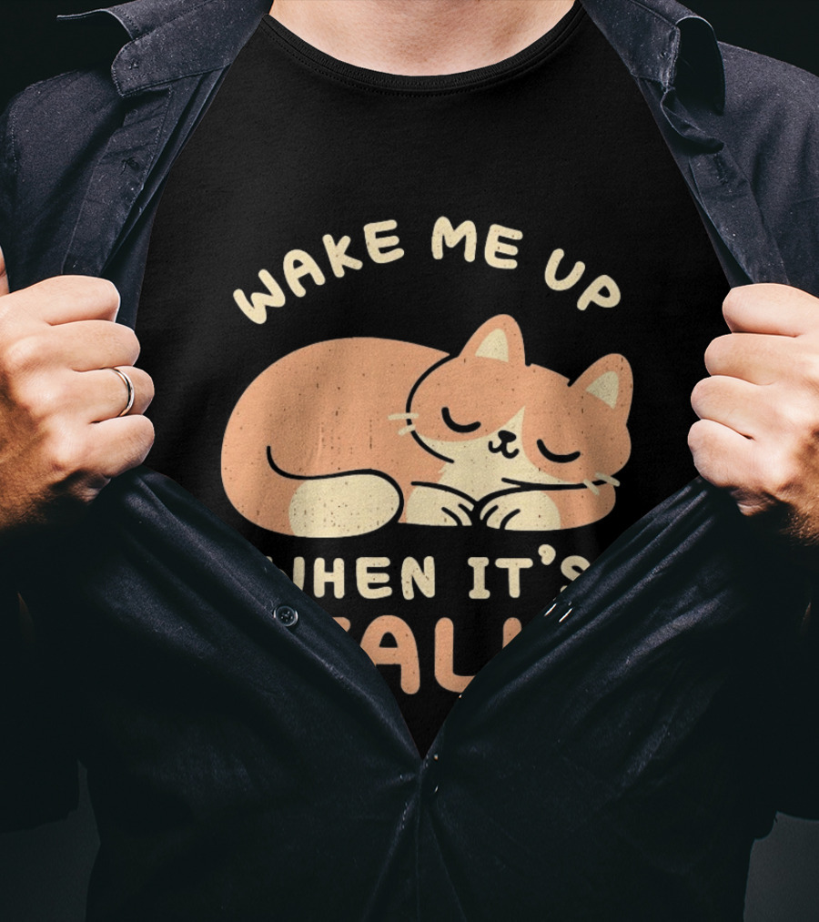 Wake Me Up When It's Fall Sleeping Cat Autumn T-Shirt