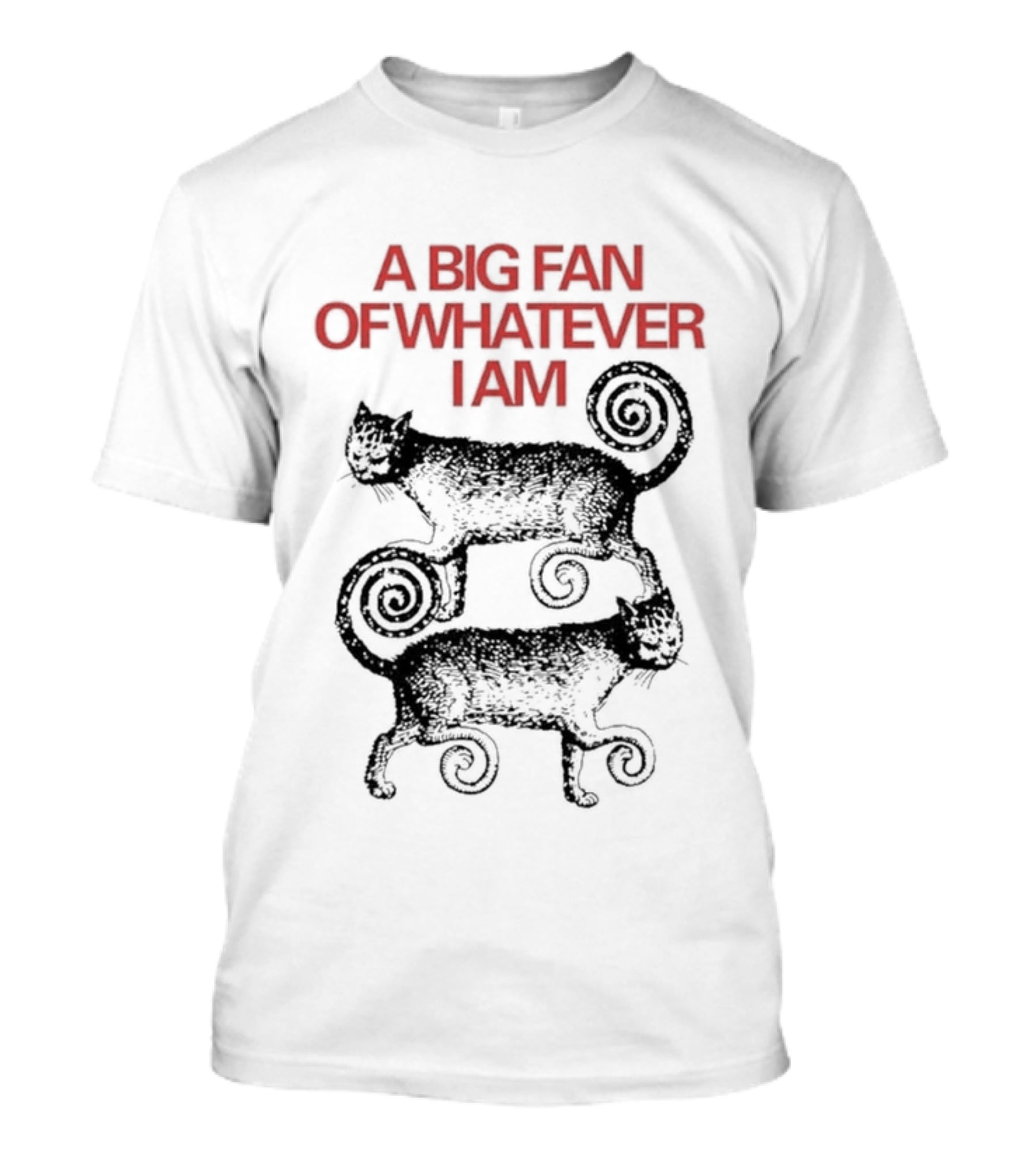 A Big Fan Of Whatever I Am Spiral Cats T-Shirt