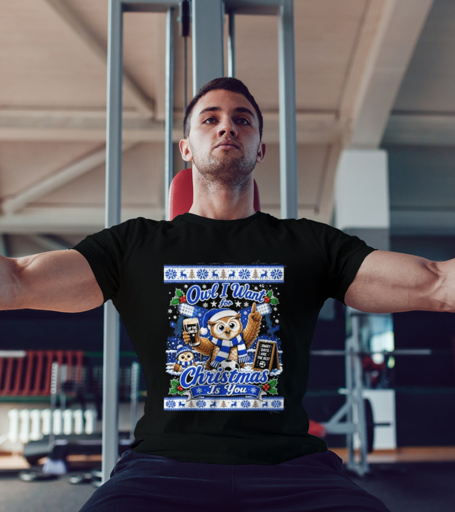 Owl I Want For Christmas Is You Sheffield Wednesday Jumper T-Shirt