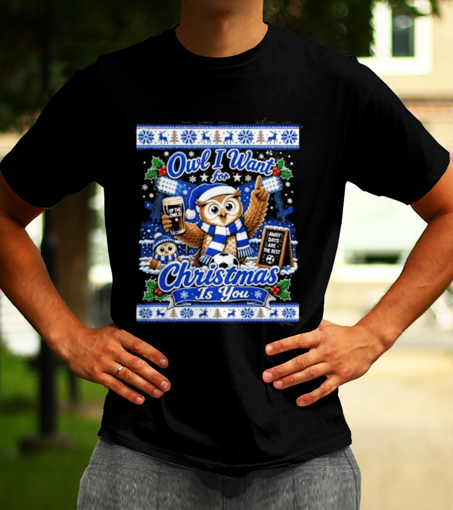 Owl I Want For Christmas Is You Sheffield Wednesday Jumper T-Shirt