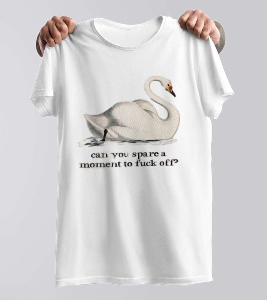 Can You Spare A Moment To Fuck Off White Swan Floating Water T-Shirt