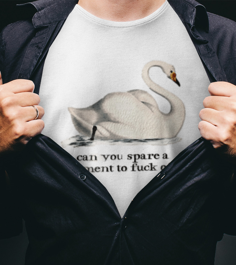 Can You Spare A Moment To Fuck Off White Swan Floating Water T-Shirt