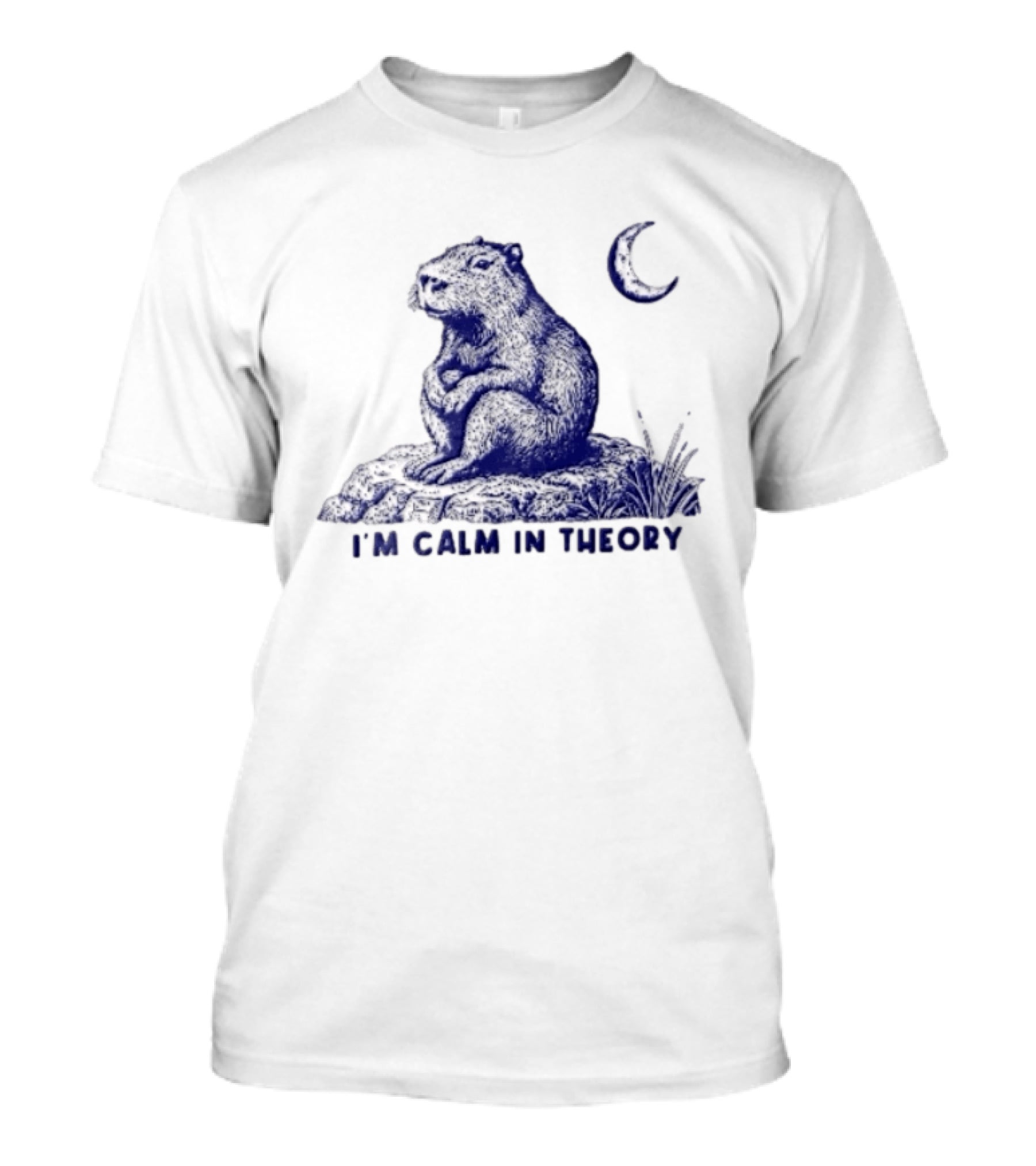 I'm Calm In Theory Capybara Sitting On Rock Under Crescent Moon T-Shirt