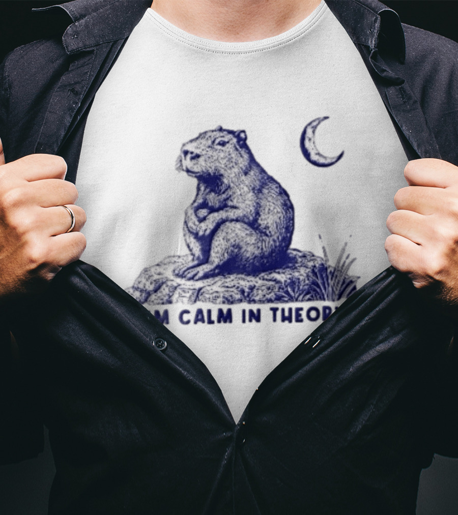 I'm Calm In Theory Capybara Sitting On Rock Under Crescent Moon T-Shirt