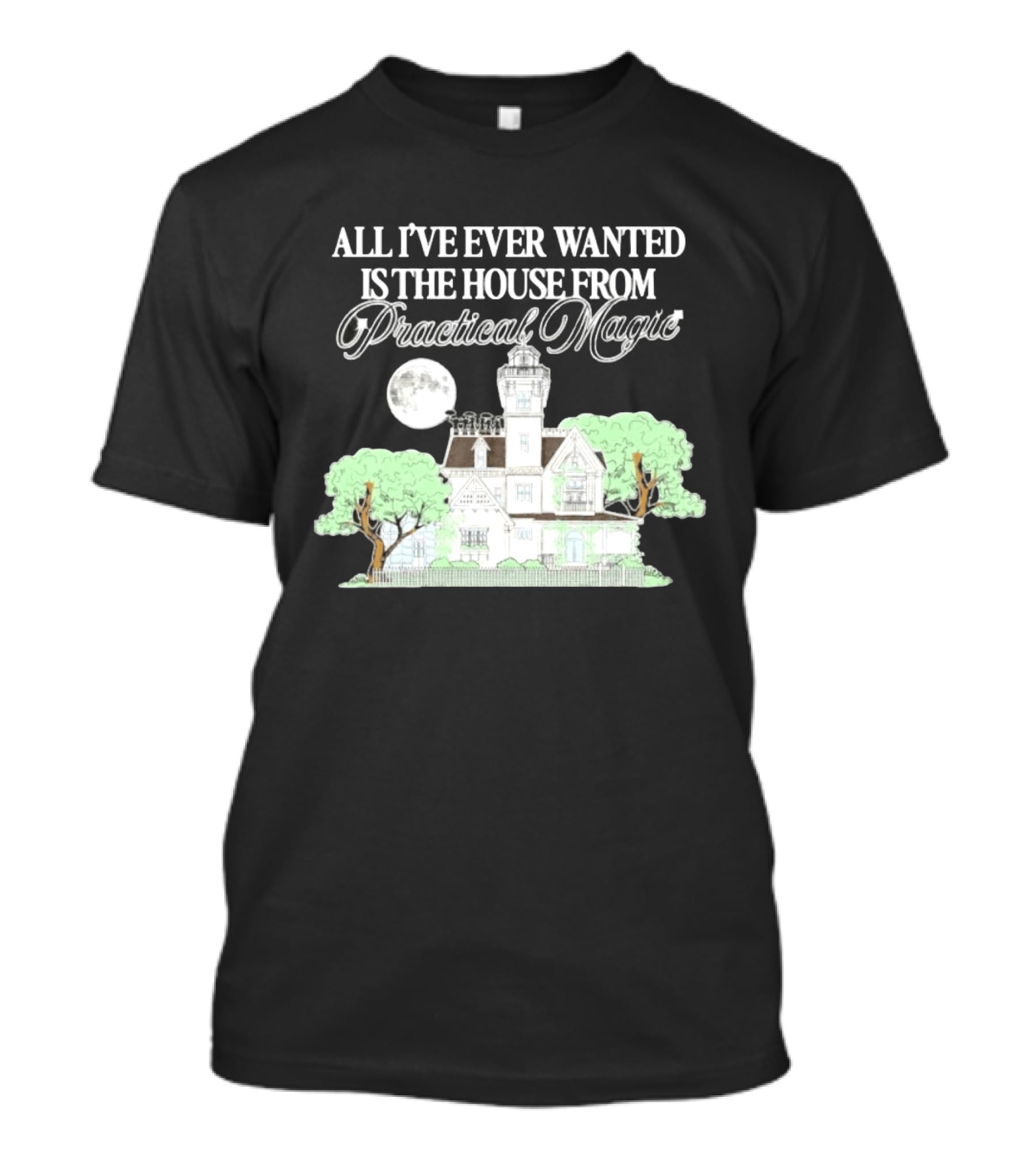 All I've Ever Wanted Is The House From Practical Magic Moonlit T-Shirt