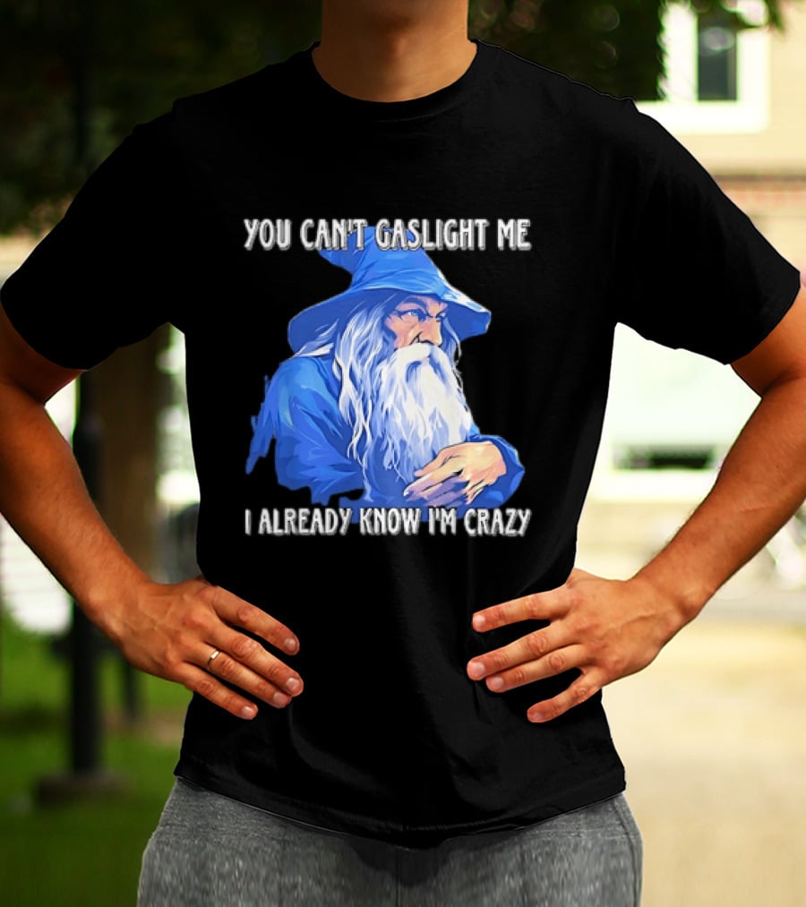 You Can't Gaslight Me I Already Know I'm Crazy Wizard Robe And Hat T-Shirt