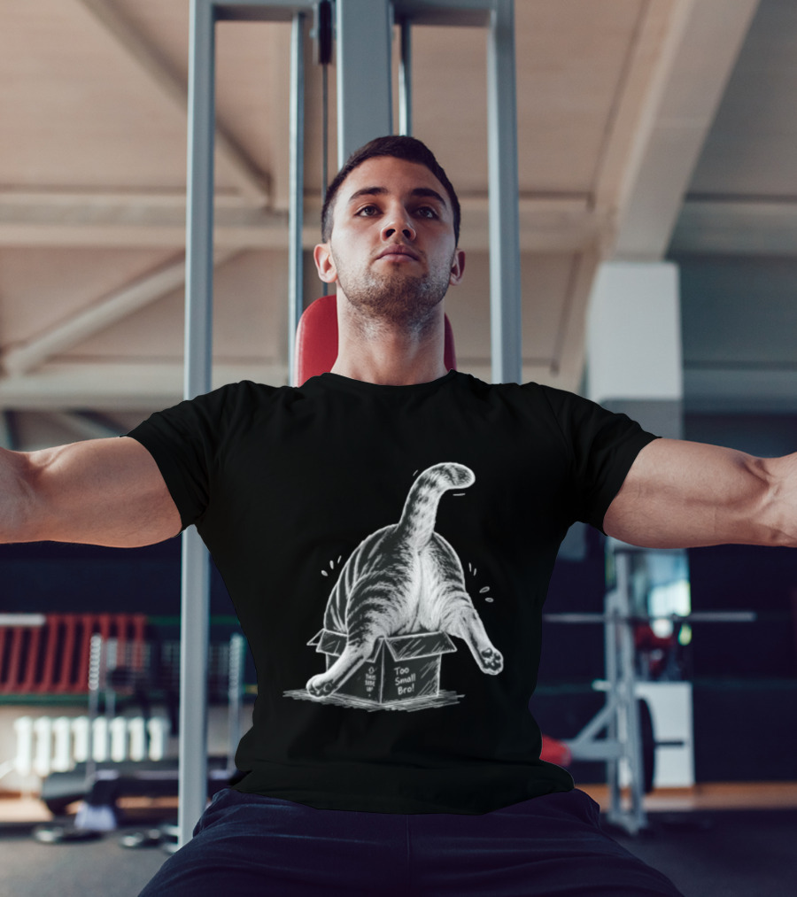 Too Small Bro Tabby Cat Stuck In Box Rear View T-Shirt
