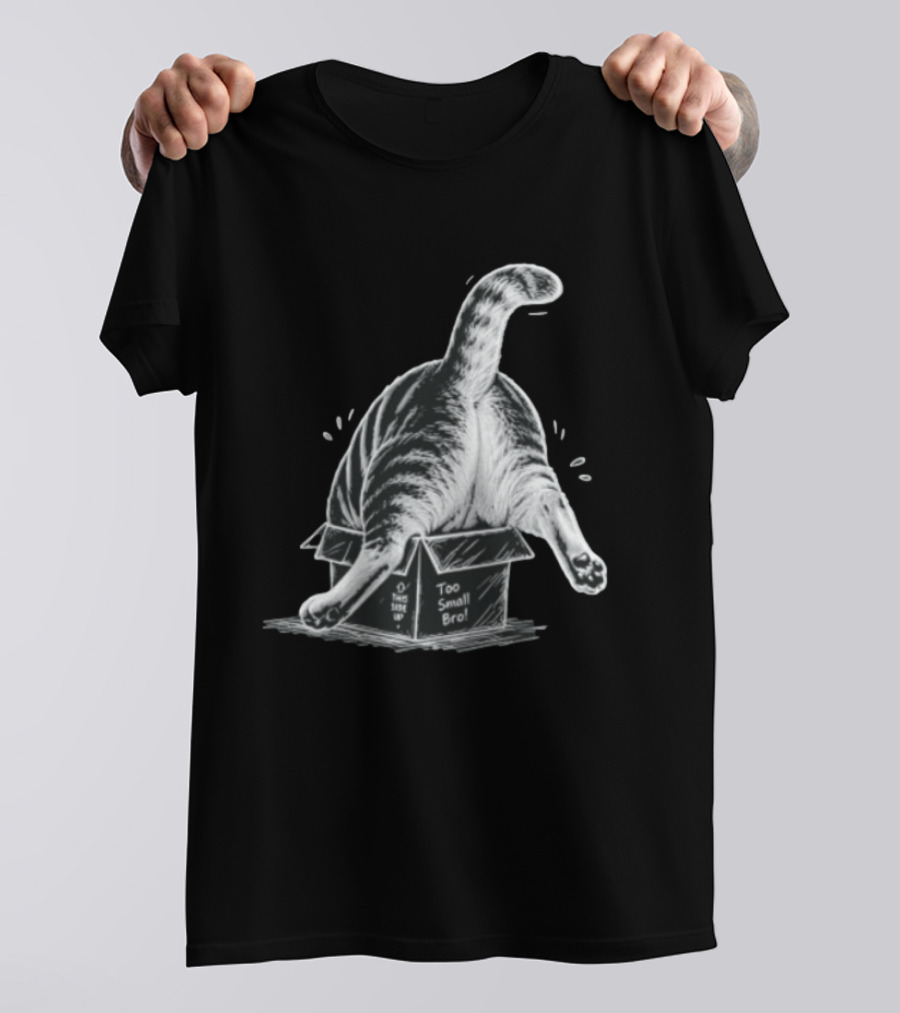 Too Small Bro Tabby Cat Stuck In Box Rear View T-Shirt