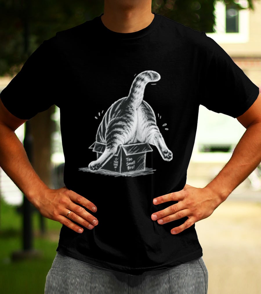 Too Small Bro Tabby Cat Stuck In Box Rear View T-Shirt