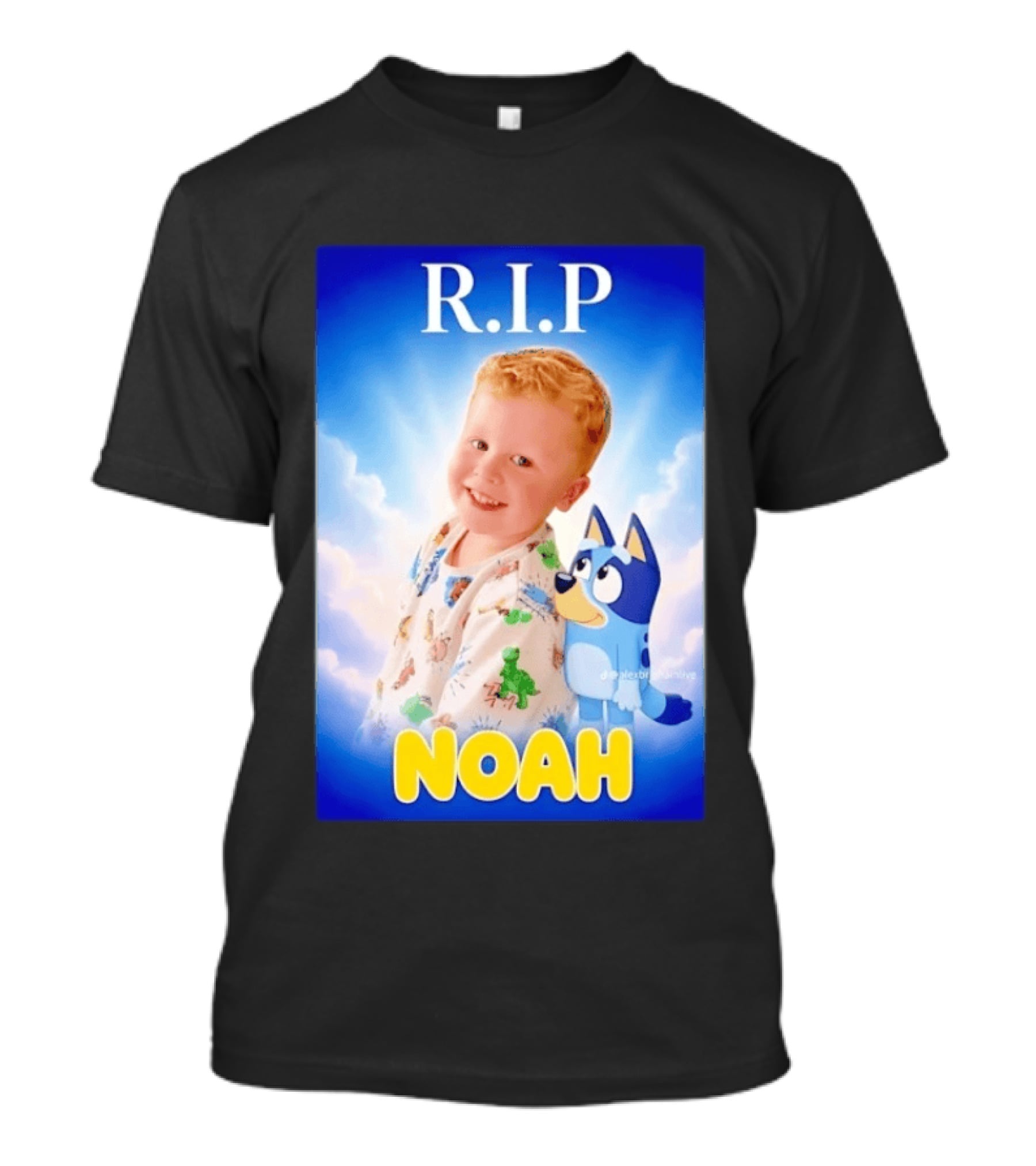 RIP Noah In Loving Memory Bluey T-Shirt