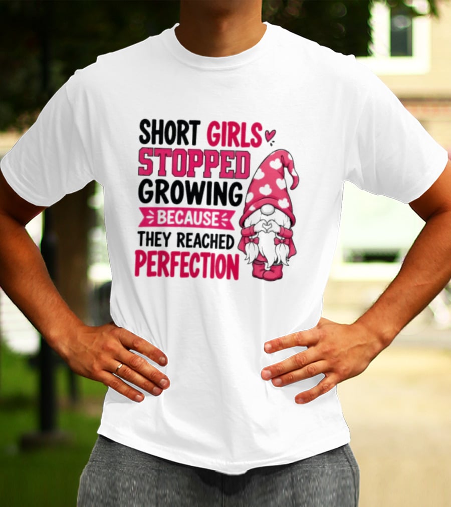 Short Girls Stopped Growing Because They Reached Perfection Gnome Heart Hat T-Shirt