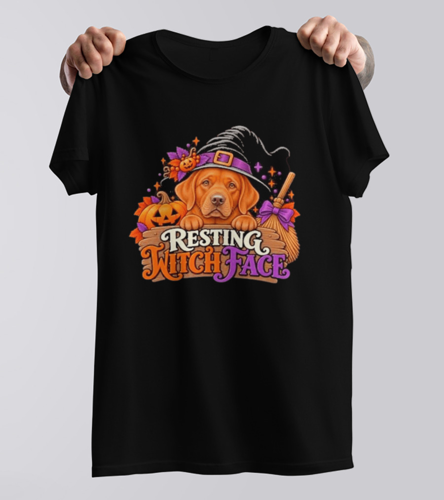 Resting Witch Face Dog Witch Hat Pumpkin Broom Halloween T-Shirt
