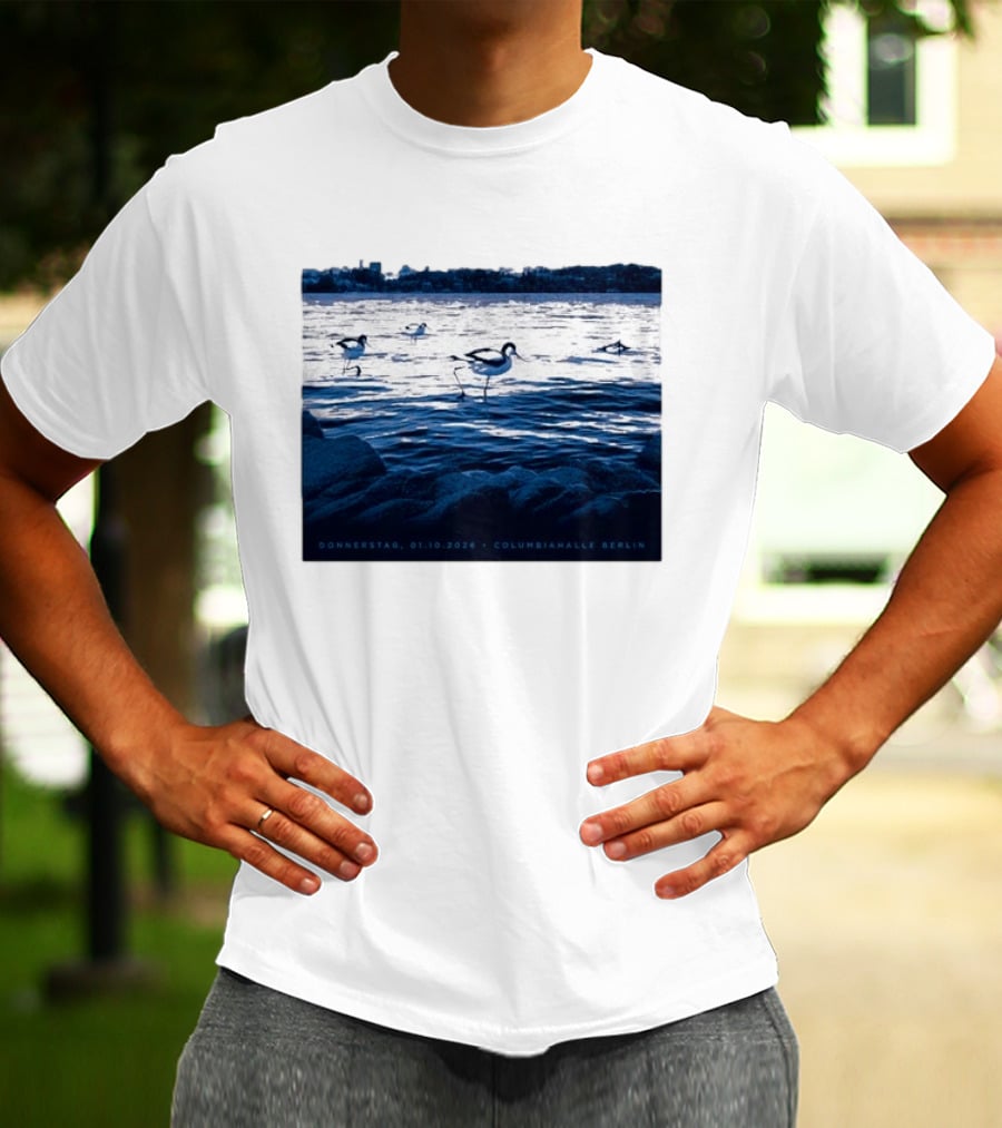 Donnerstag 01.10.2026 Columbiahhalle Berlin Death Cab For Cutie Birds By Water T-Shirt