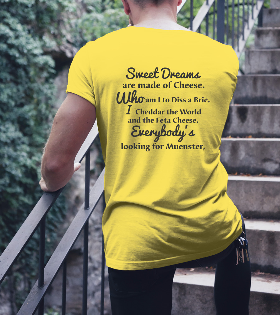 Sweet Dreams Are Made Of Cheese Who Am I To Diss A Brie I Cheddar The World And The Feta Cheese Everybody's Looking For Muenster T-Shirt