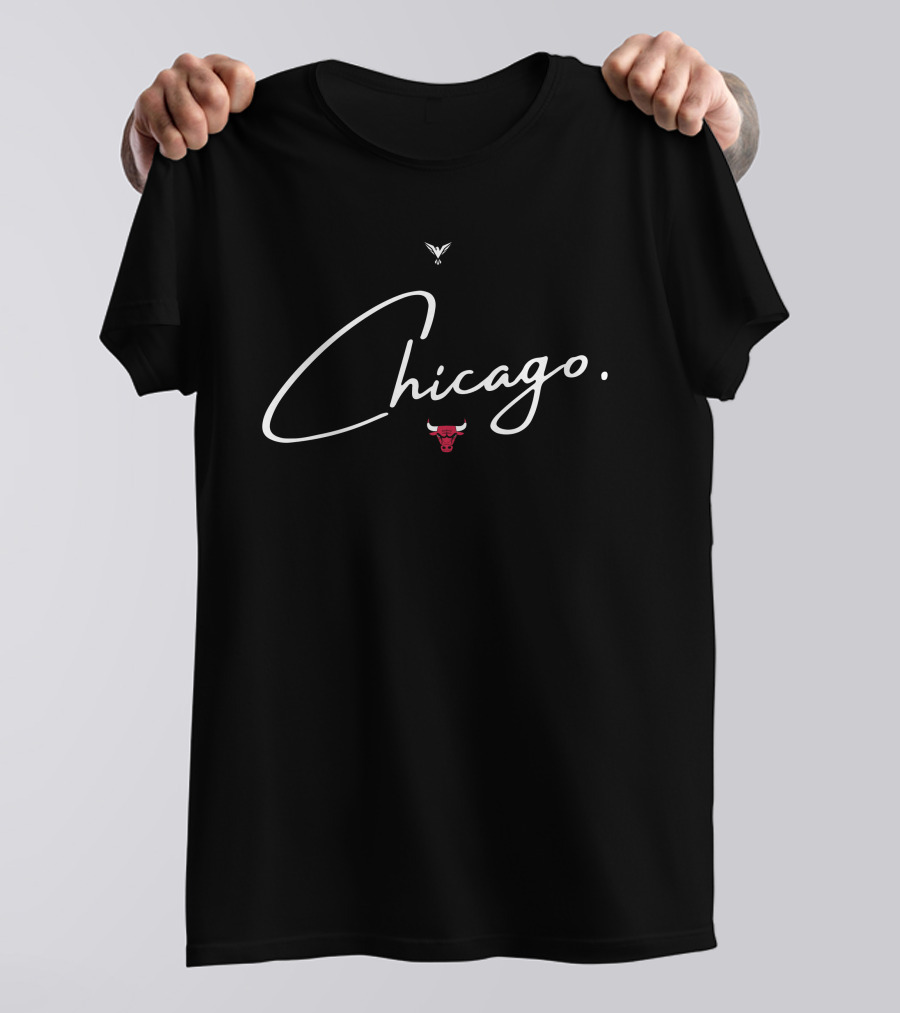 Chicago Bulls Aawol Chicago Bulls Logo Iconic T-Shirt
