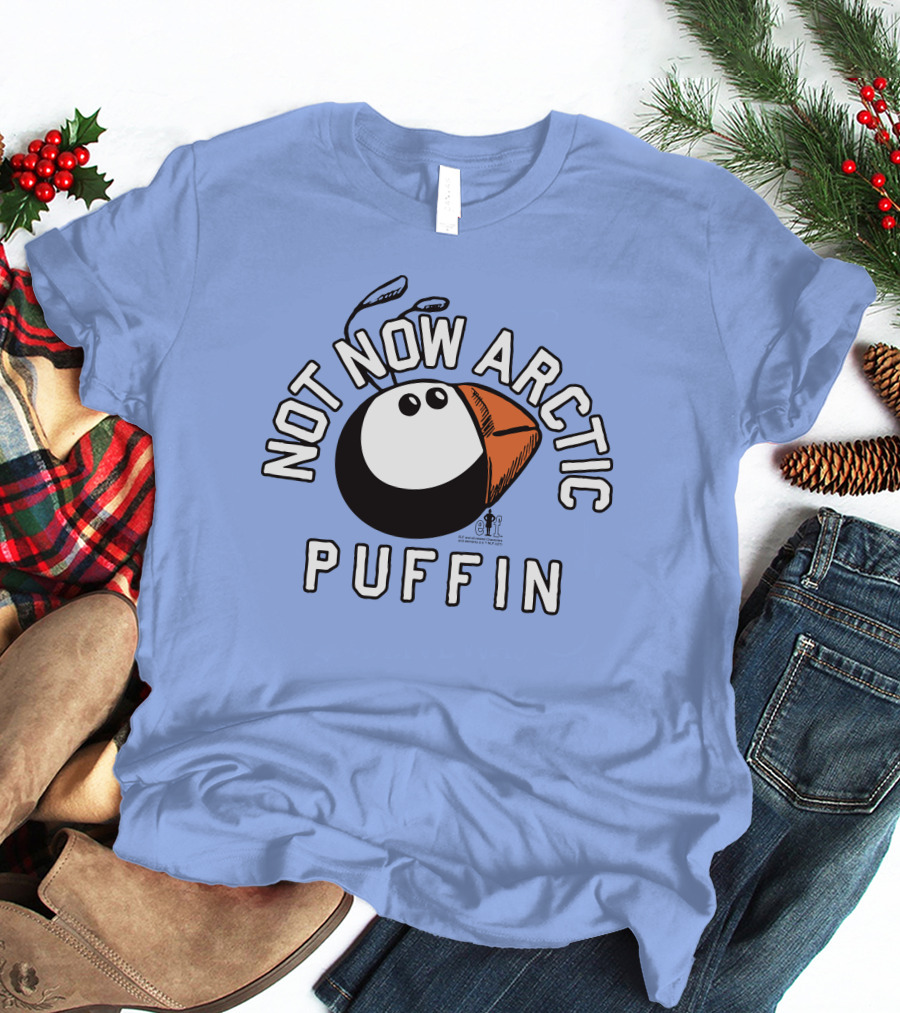 Not Now Arctic Puffin Mood Just Mike T-Shirt