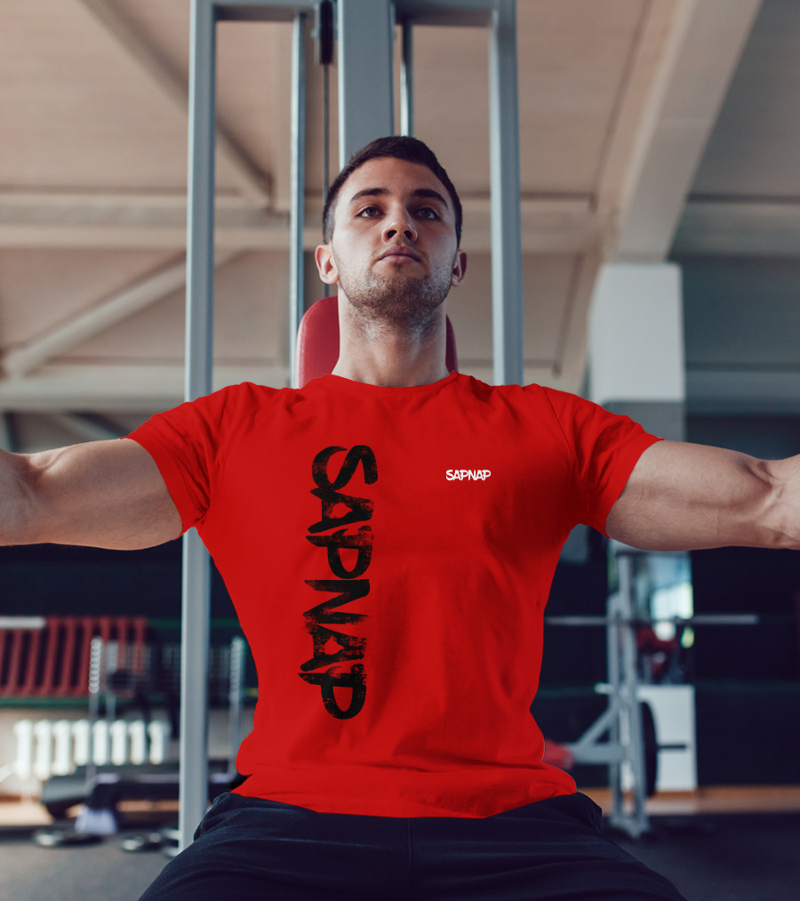 Sapnap Merch Store Sapnap Text Bold Graphic Dt Updates T-Shirt