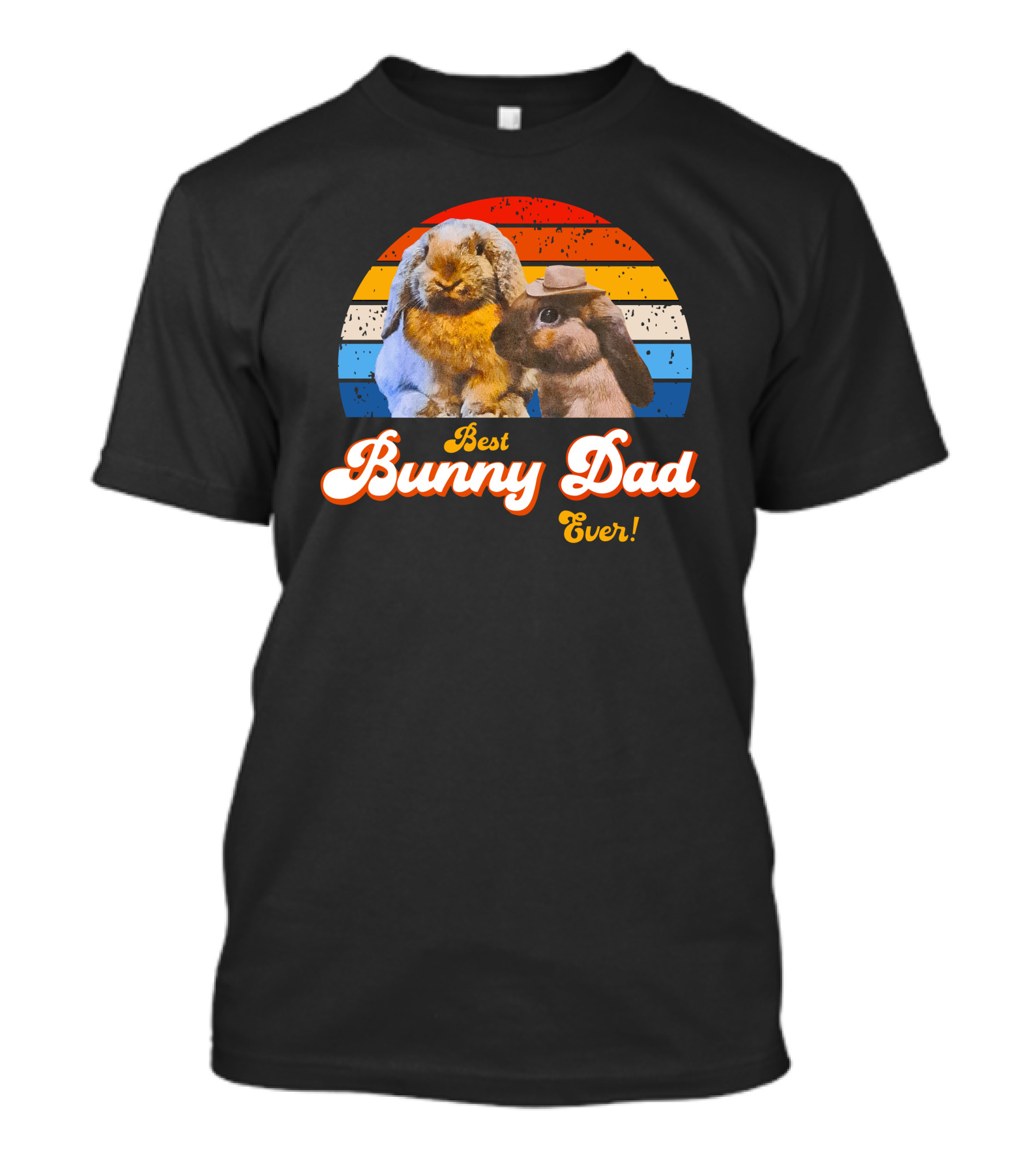 Best Bunny Dad Ever Vintage Sunset Style With Cute Rabbits T-Shirt