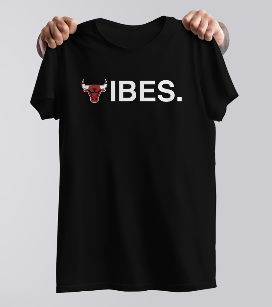 Obvious Merch Chicago Bulls Vibes T-Shirt